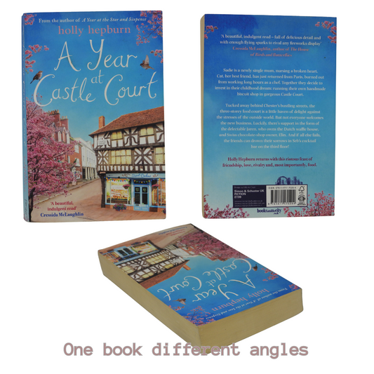 Castle Court #1-4: A Year at Castle Court